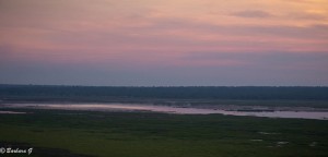 IMG_2931