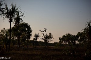 IMG_2952