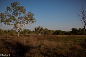 IMG_2955