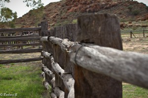 IMG_4190