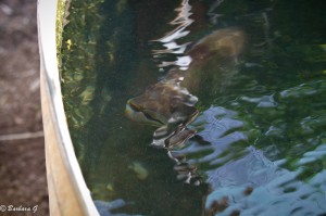 IMG_4719