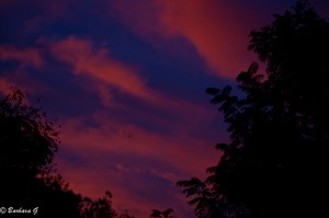 IMG_4788
