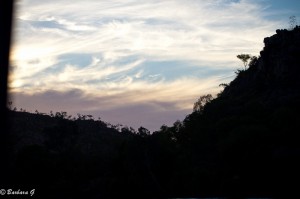 IMG_4852