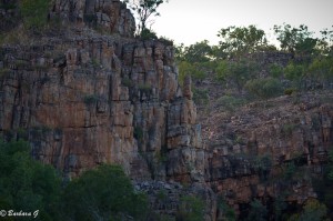 IMG_4853