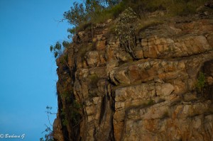 IMG_4864