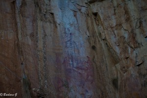 IMG_4875