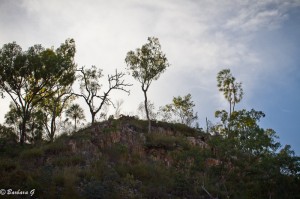 IMG_4904
