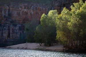 IMG_4920