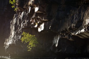 IMG_4962