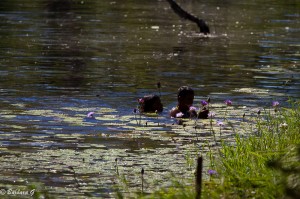 IMG_5407
