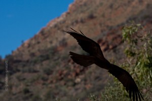 IMG_5685