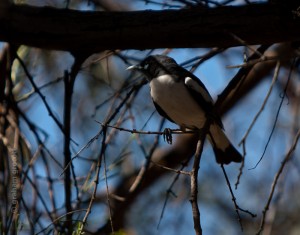 IMG_5789