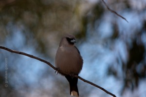IMG_5803
