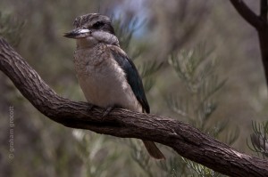 IMG_5850