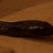 IMG_5957