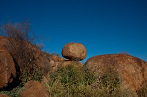 IMG_6114