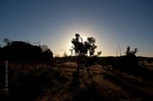 IMG_6147