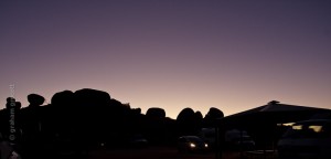 IMG_6161