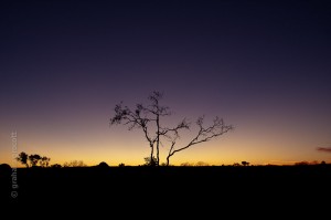 IMG_6169