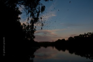 IMG_6447