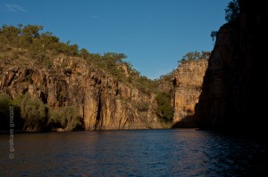 IMG_6485
