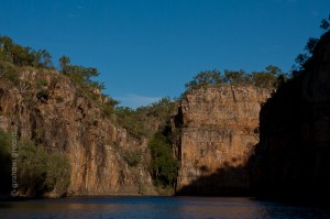 IMG_6487