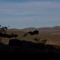 IMG_6718