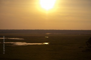 IMG_6789