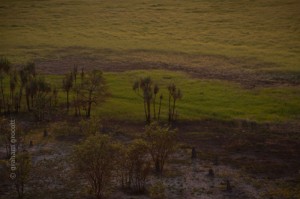 IMG_6817