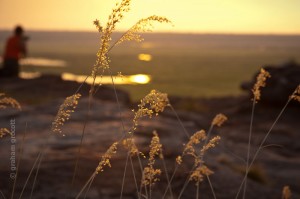 IMG_6828