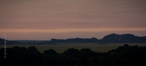 IMG_6842