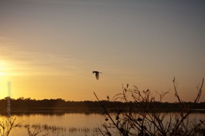IMG_6861