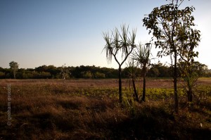 IMG_6874