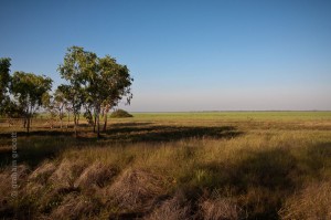 IMG_6884