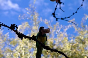 IMG_7639