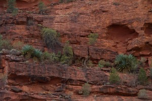 IMG_7665