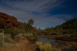 IMG_7681