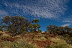 IMG_7708