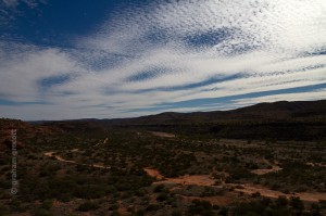 IMG_7804