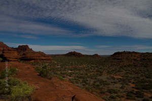 IMG_7806