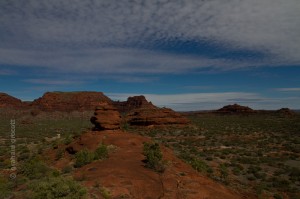 IMG_7811