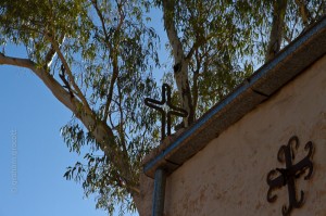 IMG_7841