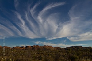 IMG_7866