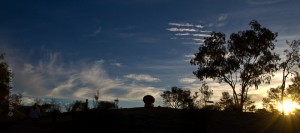 IMG_7869