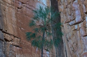 IMG_8281
