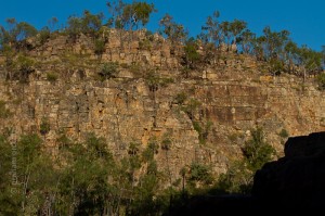 IMG_8300