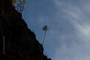 IMG_8310