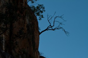 IMG_8317