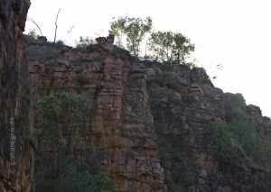 IMG_8360