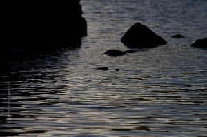 IMG_8361